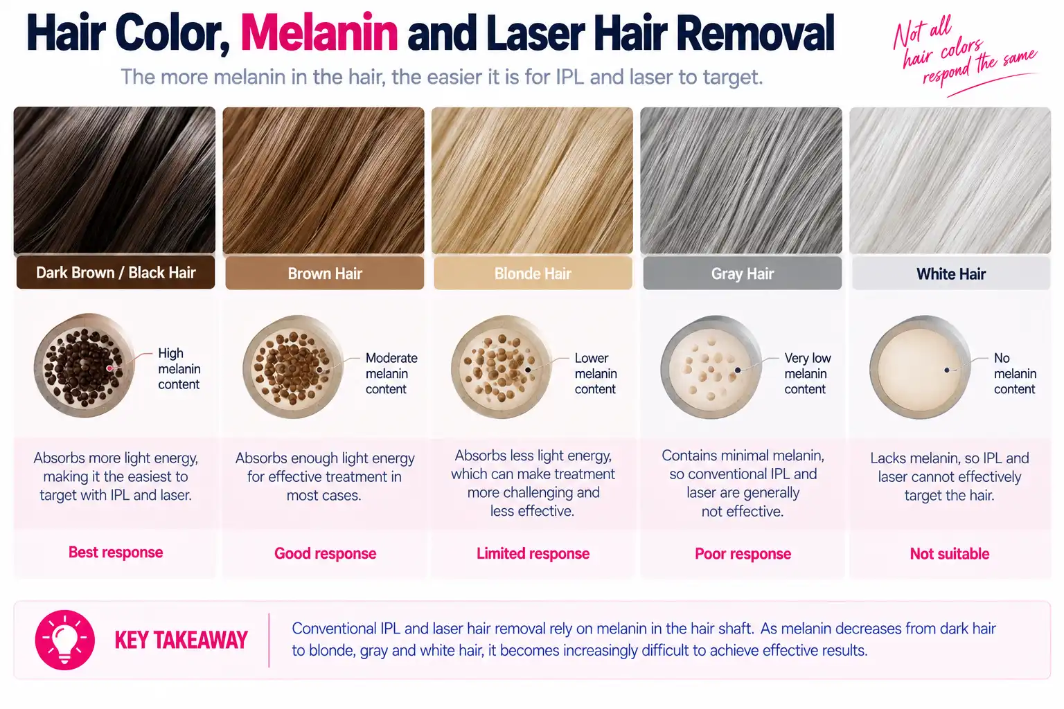 Melanin comparison in blonde gray white and dark hair for laser hair removal